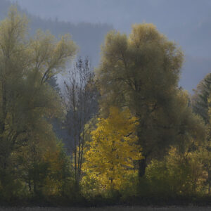 2025 10 21 forggensee stacked 4